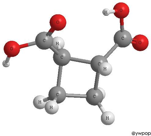trans-1,2-cyclobutanedicarboxylic acid
