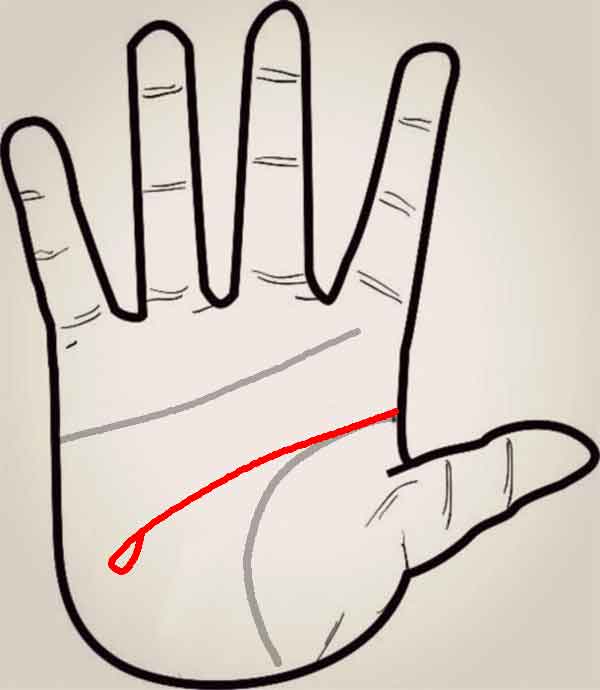 뇌신경이 쇠약한 손금