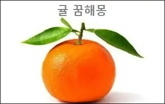 귤 꿈해몽