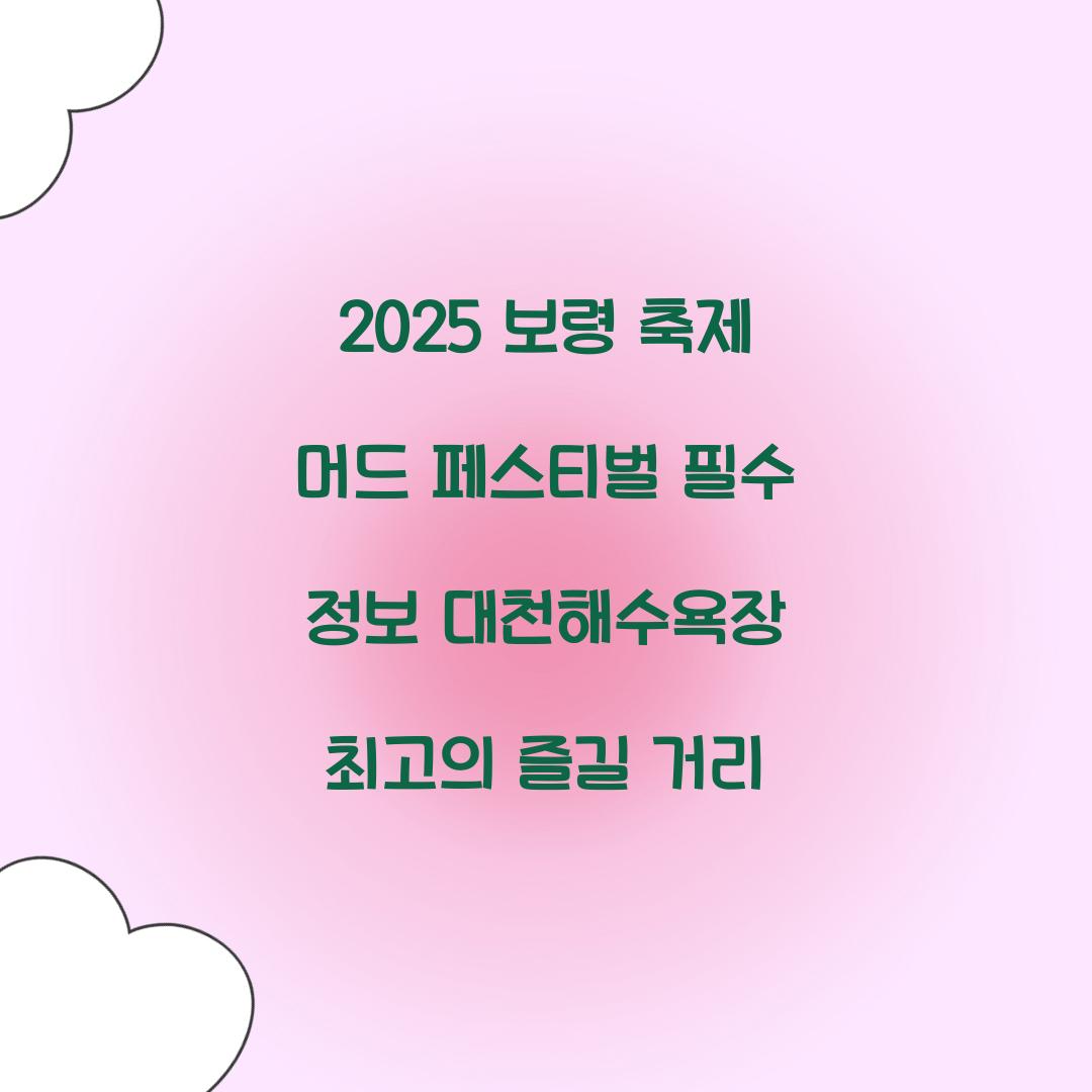 보령 축제 2025 머드 페스티벌