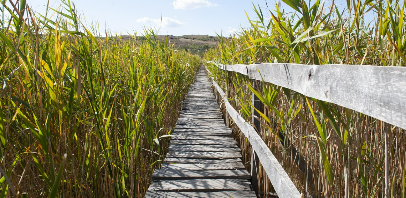 걷기좋은 산책로