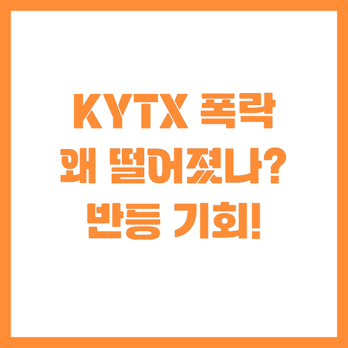 KYTX 주가 30퍼센트 폭락 원인과..