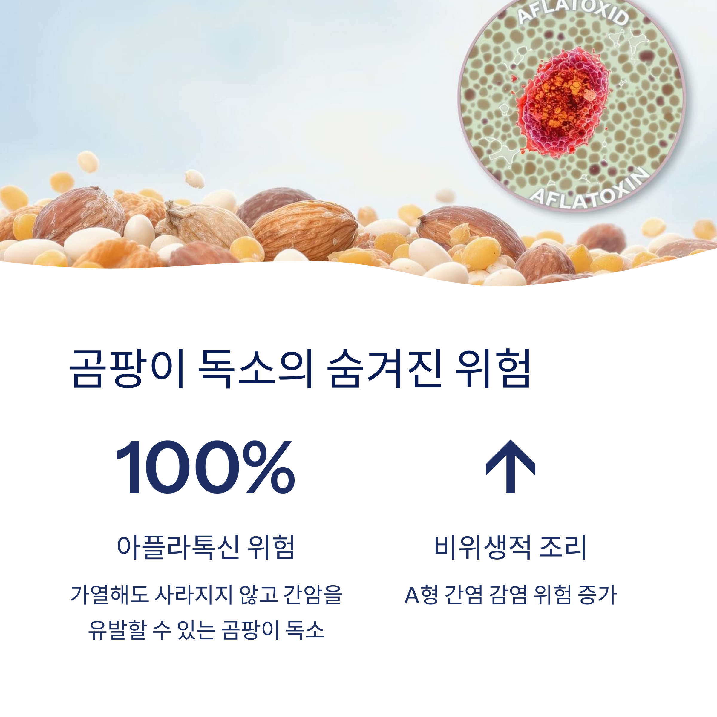 곰팡이 독소의 위험