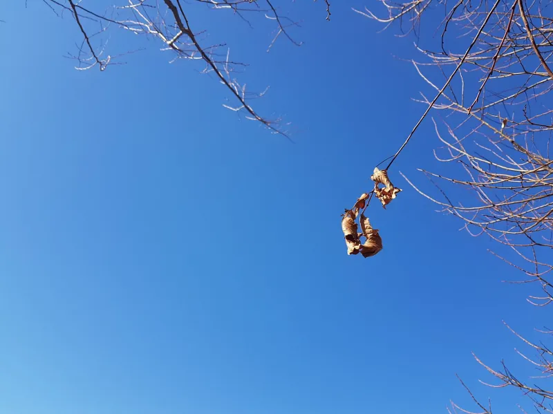 남해 창선도 대방산