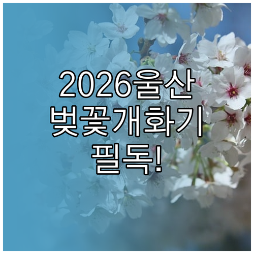 2026년 울산 중구 벚꽃 개화 시기..