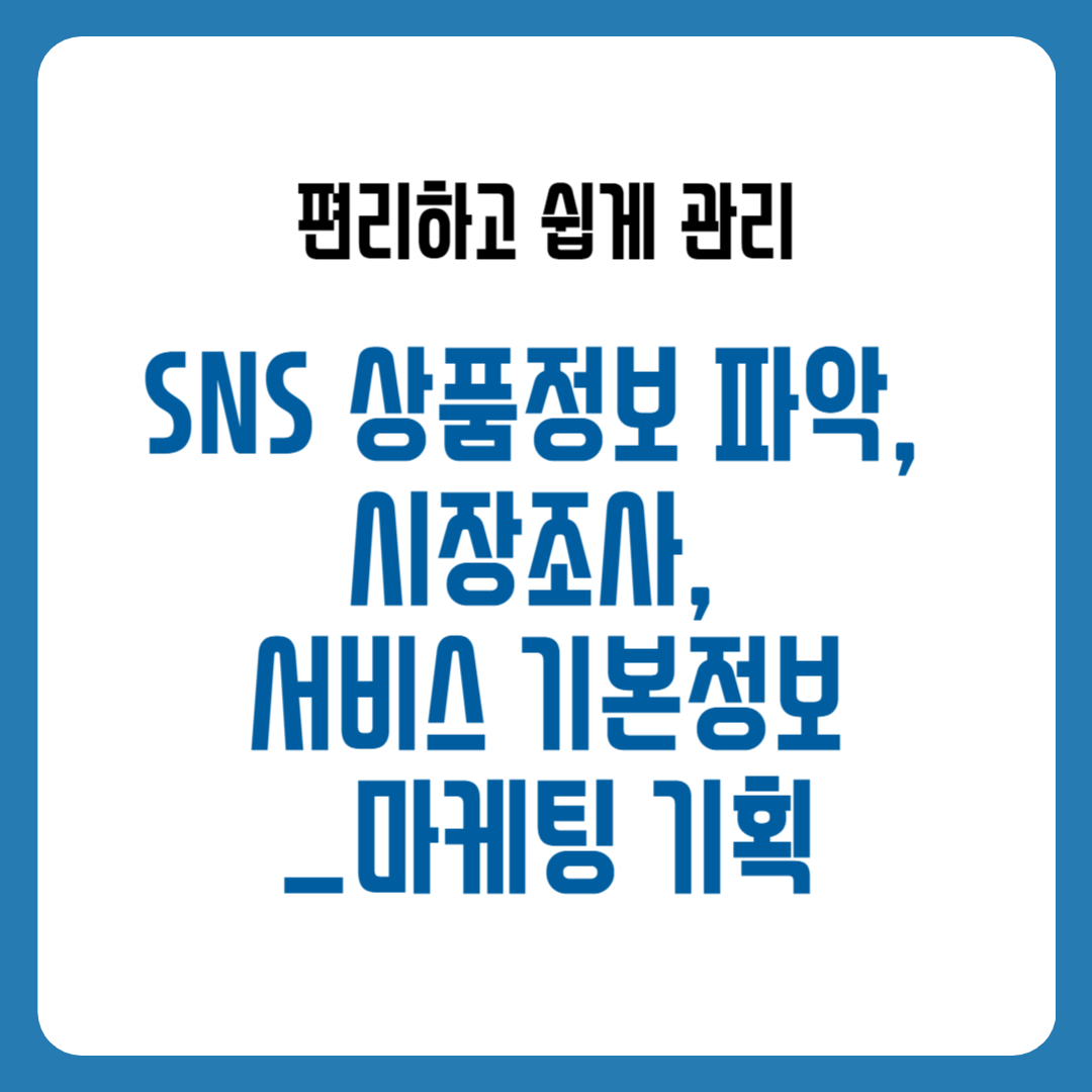 SNS 상품정보 파악, 시장조사, 서비스 기본정보_마케팅 기획