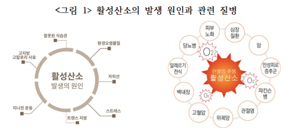 노화의 주범 활성산소