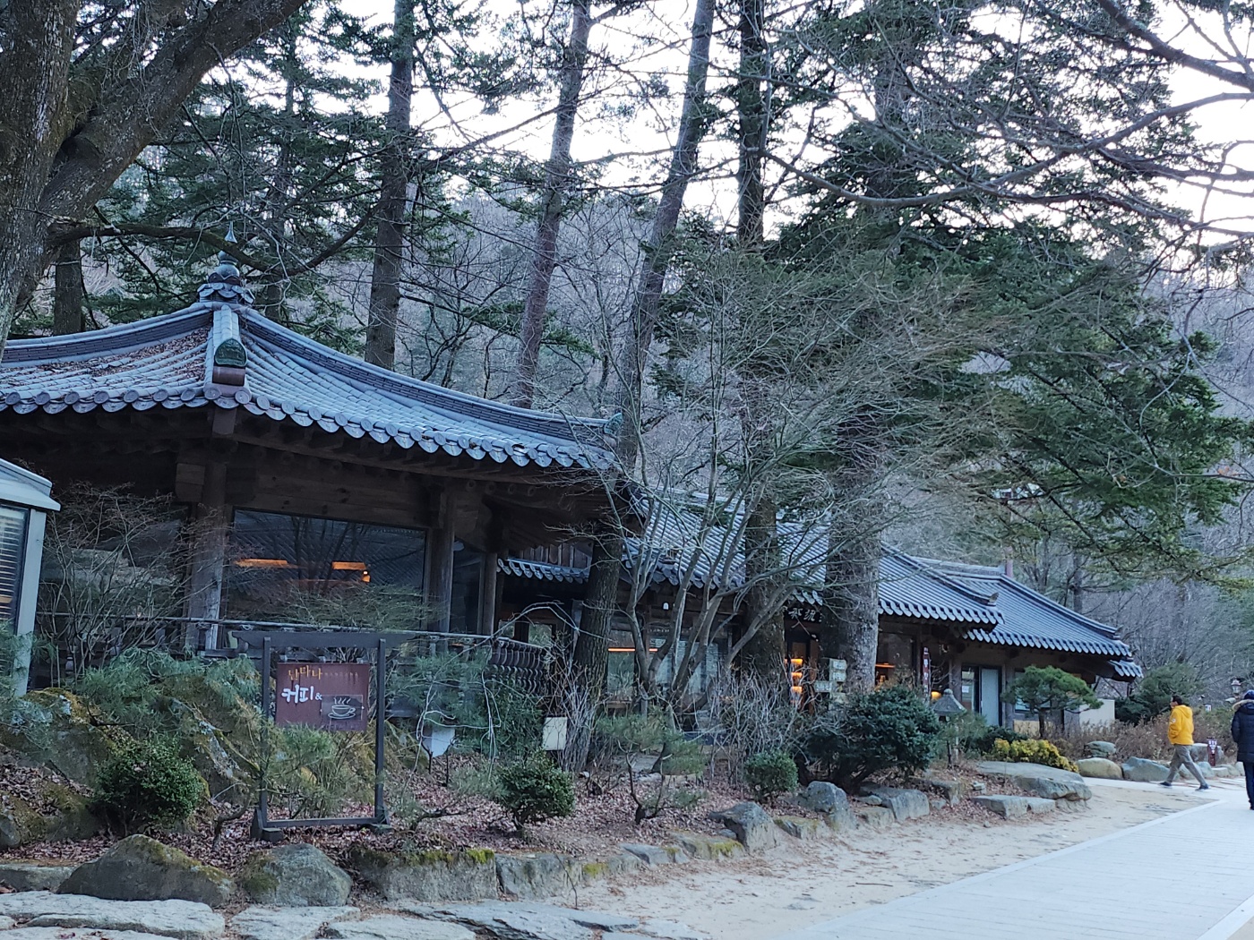 강원도오대산월정사선재길전나무숲길