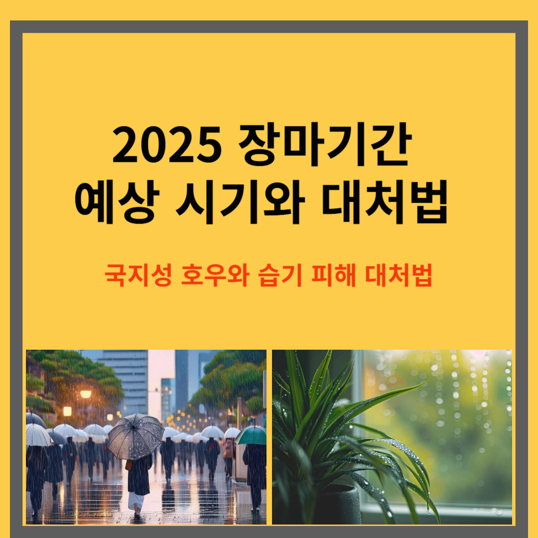 2025 장마기간 예상 시기와 대처법|국지성 호우와 습기 피해 이렇게 대비