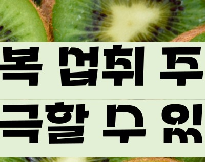 키위 효능 부작용