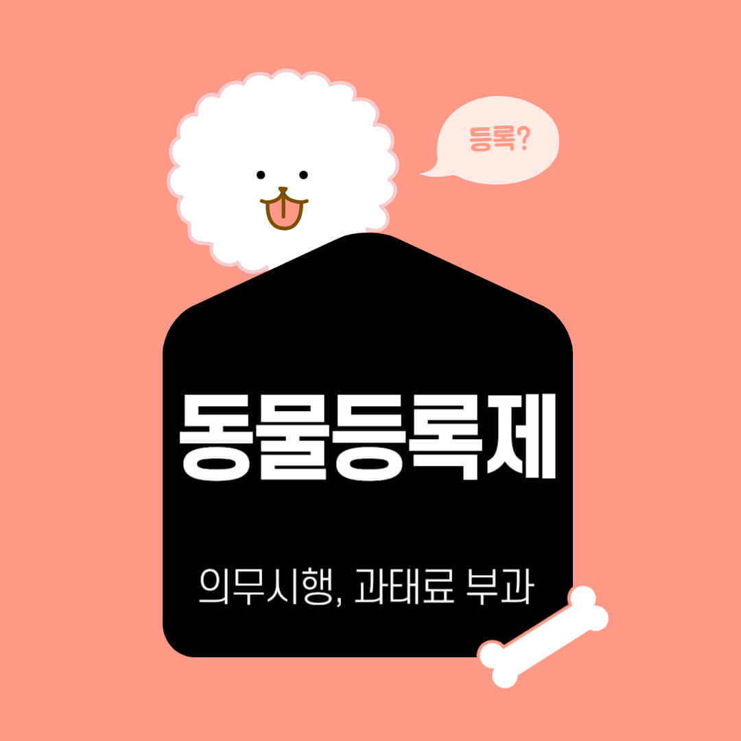 동물등록제 의무시행, 위반시 과태료 부과