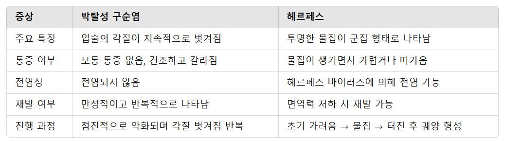 박탈성 구순염과 헤르페스의 주요 증상 비교