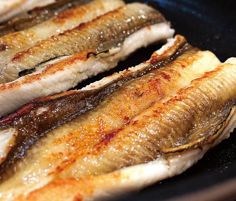 오늘N 이 맛에 산다 통영 다연호 자연산 바다장어 돌문어 구매방법