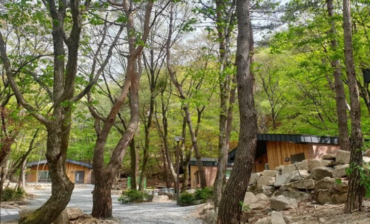 조령산 자연휴양림