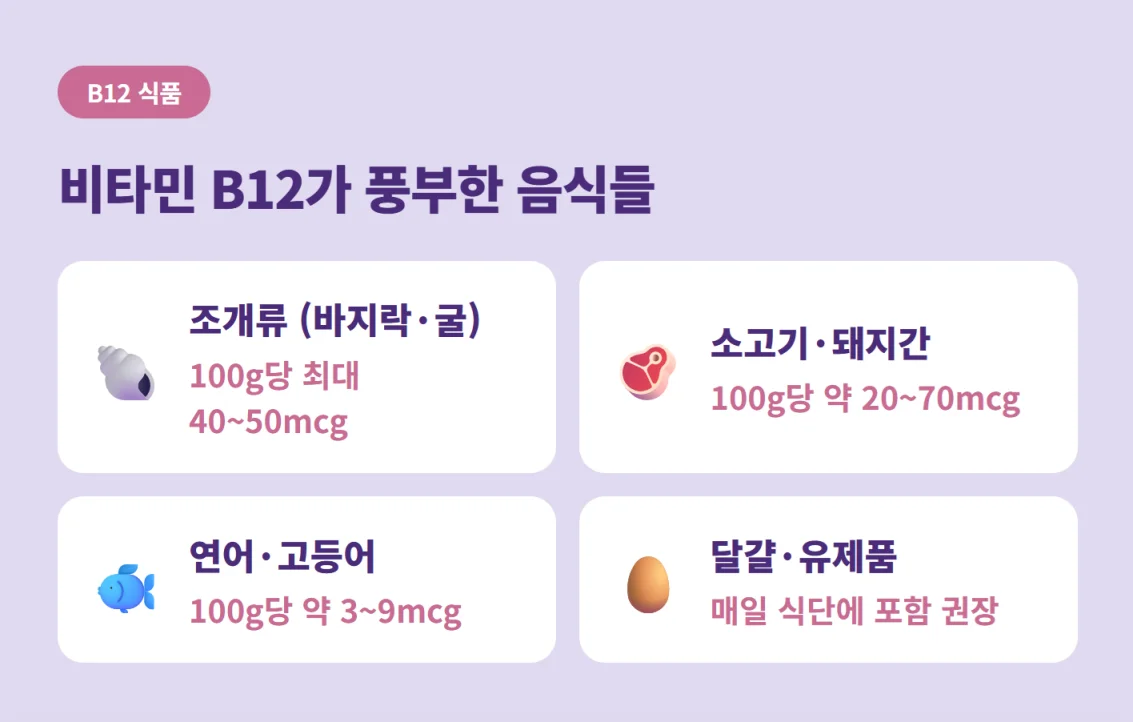 조개류, 간, 연어, 고등어, 달걀의 비타민 B12 함량 정보