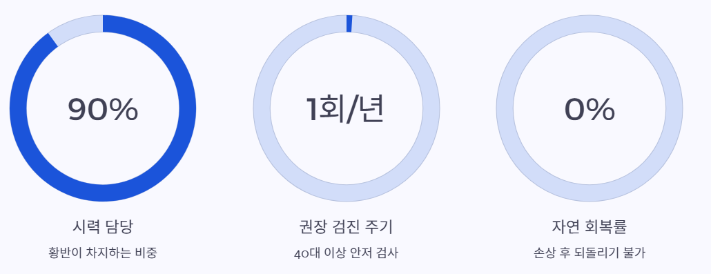 검사