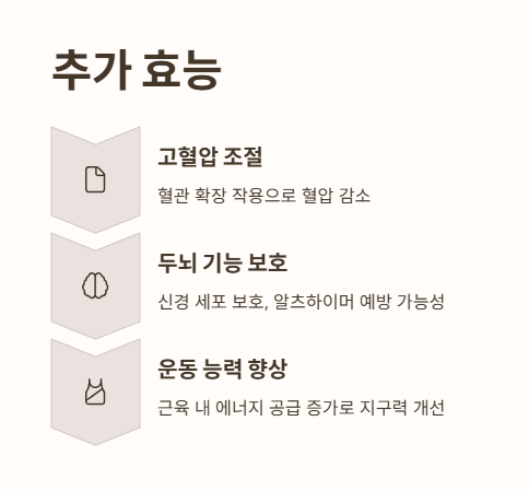 코엔자임 큐텐의 효능 2