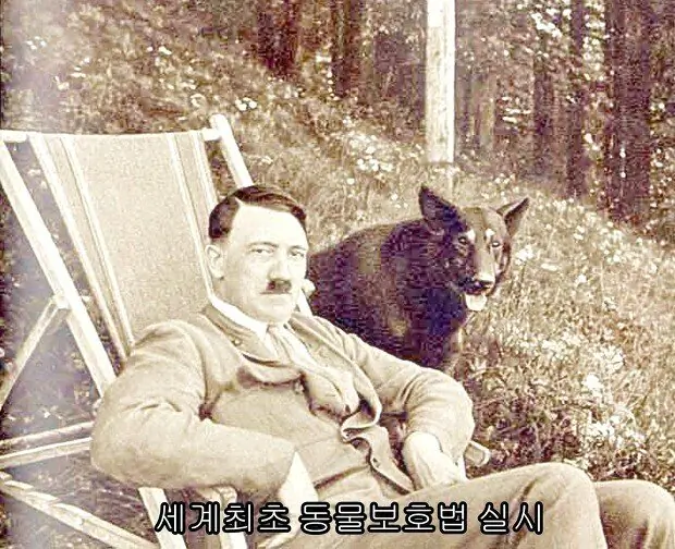 히틀러 세계 최초 동물보호법 실시