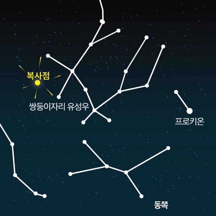 쌍둥이자리 유성우