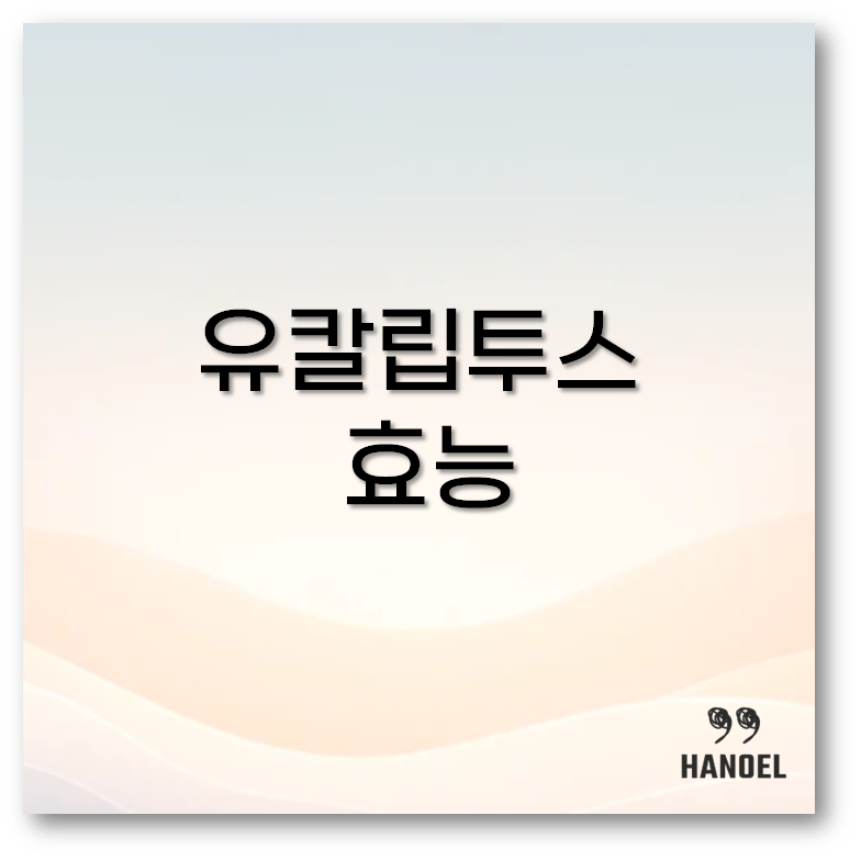 유칼립투스 효능