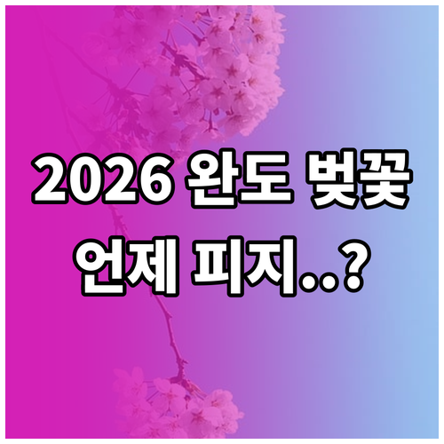 2026년 완도 벚꽃 개화 시기 및 ..
