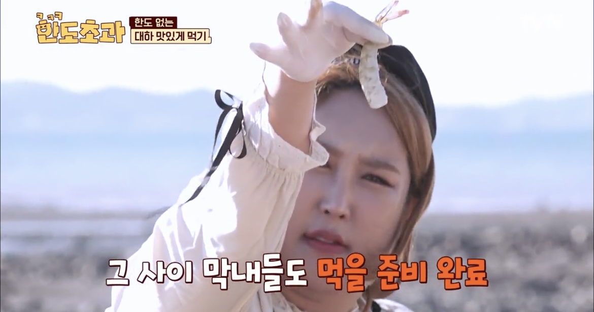 한도초과-생새우회-풍자-사진