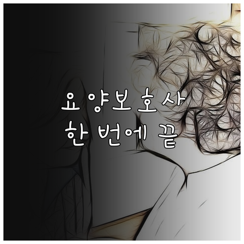 요양보호사 자격증, 한 번에 끝내기:..