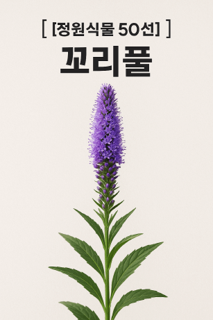 꽃도 꿀도 가득! 정원 필수 식물, 꼬리풀