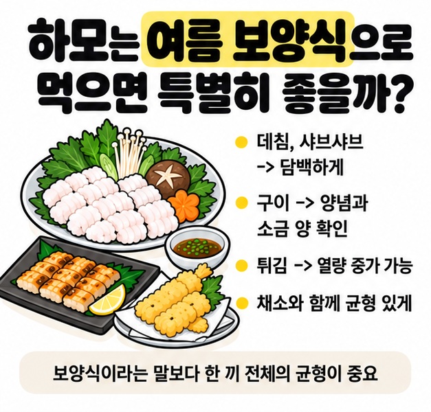 하모를 샤브샤브와 구이로 먹을 때 조리법별 특징을 비교한 이미지