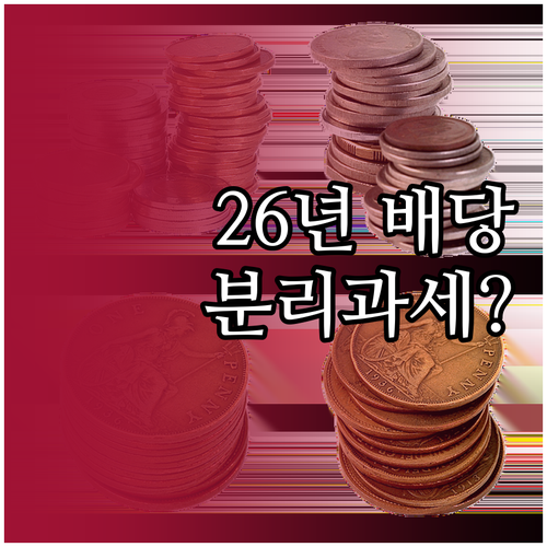 배당소득 분리과세 2026년 대비 매..