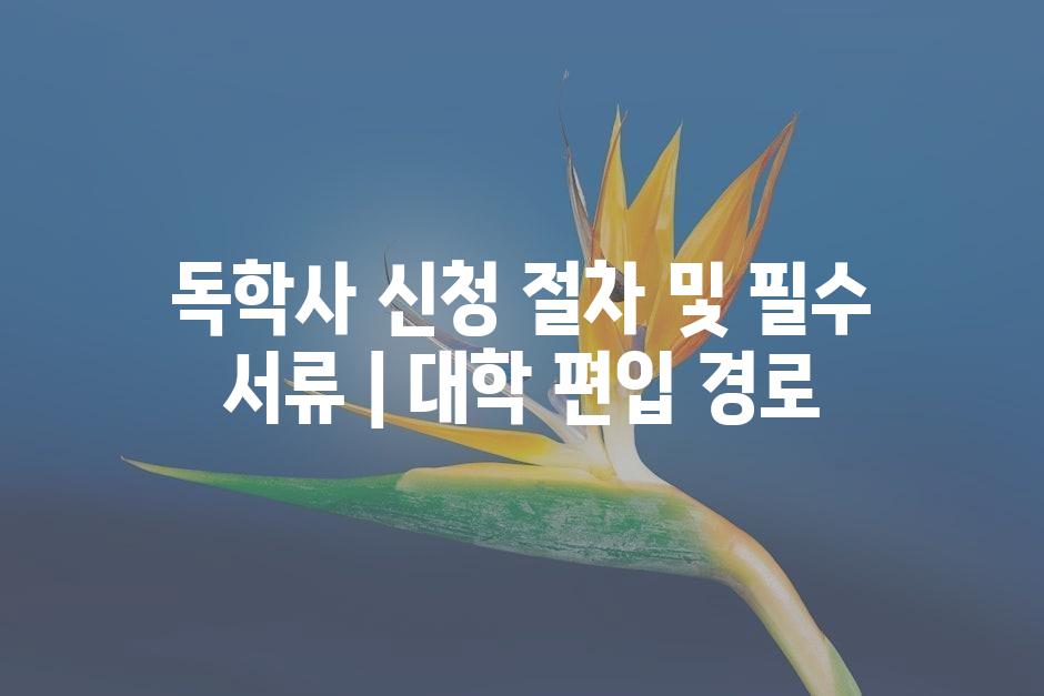샘플 (45)