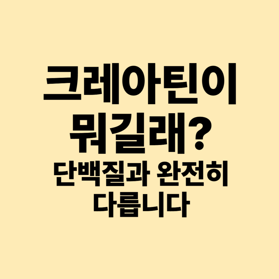 크레아틴이란? 단백질과 무엇이 다를까｜효과&middot;음식&middot;섭취법 총정리