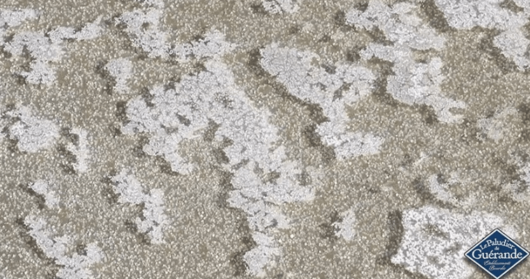 르 팔루디에르 게랑드 토판 천일염