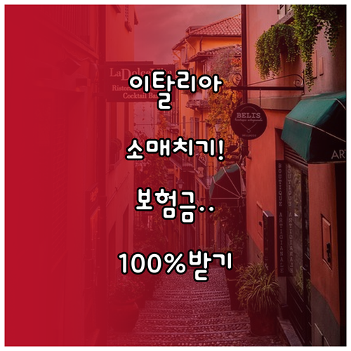 이탈리아 여행자보험 소매치기 사고 대..