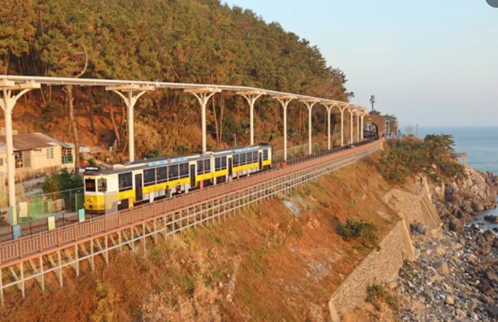 바다옆 철길을 따라 달리는 기차