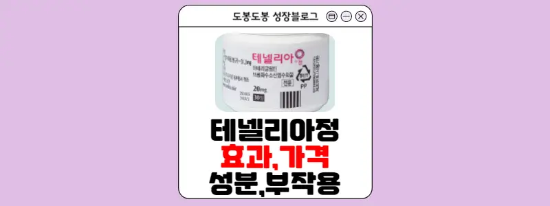 테넬리아정 안내 이미지