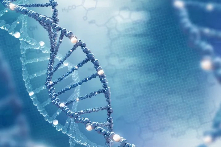 탈모 유전자 검사방법 비용