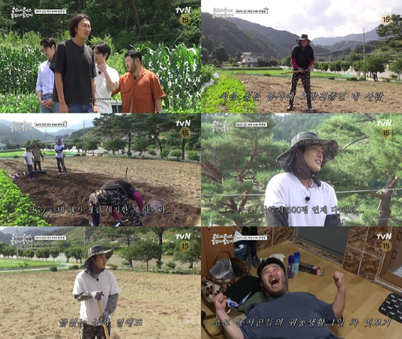 콩심은데 콩나고 팥심은데 팥난다 [사진=tvN]