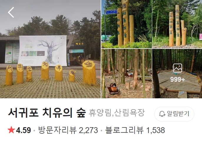 서귀포-치유의숲-썸네일