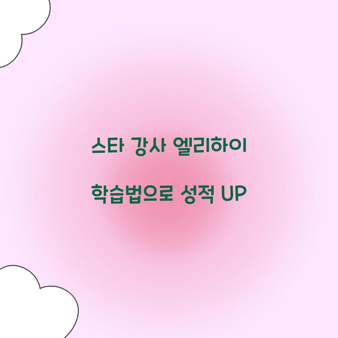 스타 강사 엘리하이 학습법