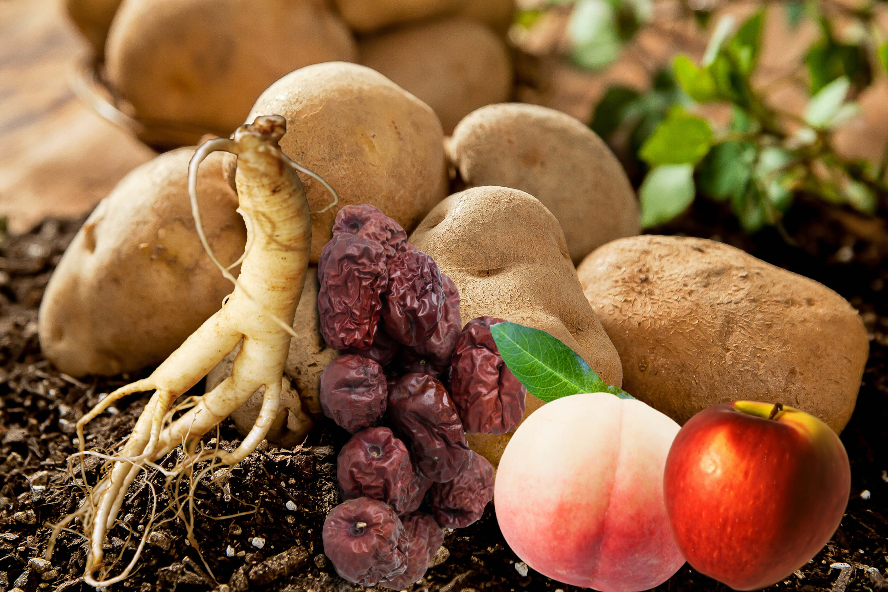 소음인 좋은 음식