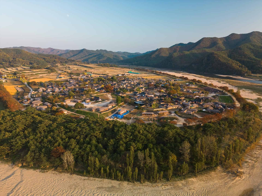 초가을의 색채: 억새, 들국화, 그리고 짚 지붕