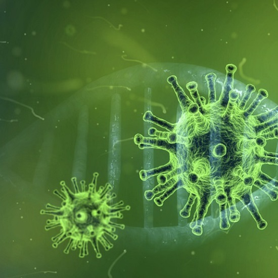 북한 코로나 상황 - 김정은 승리 선언, 코로나 감염원은 한국 주장