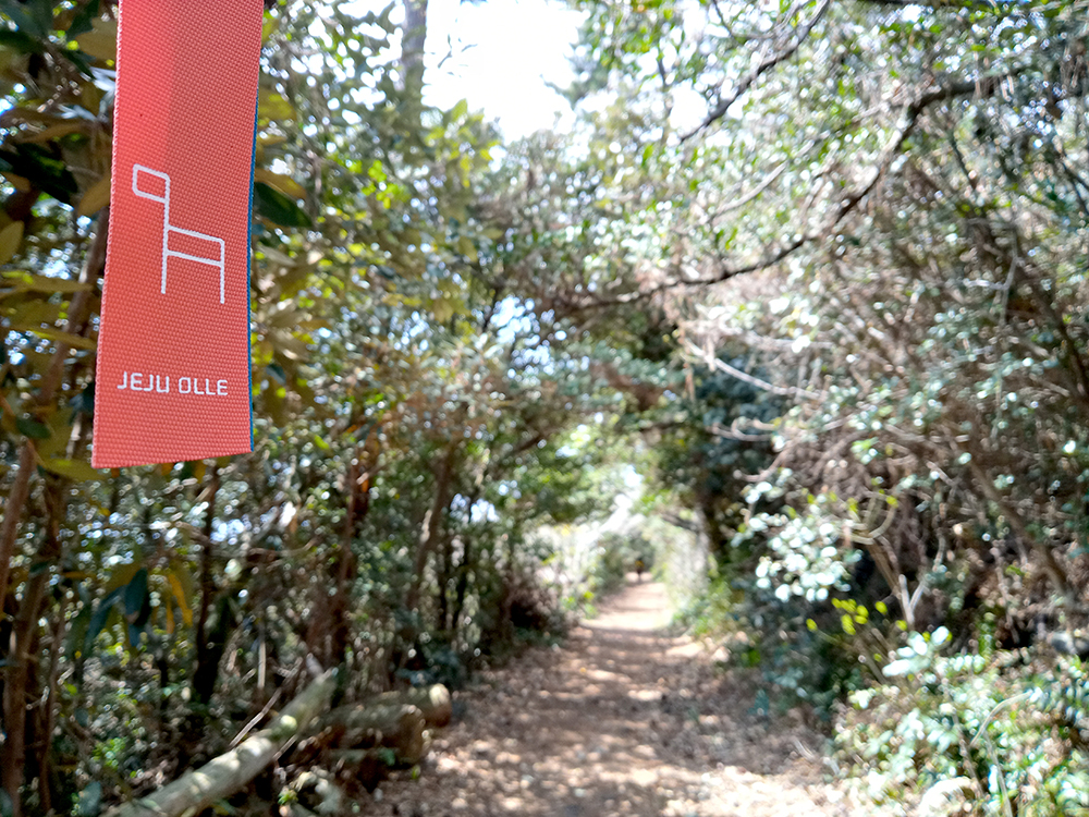 올레5코스&#44; 남원포구에서 쇠소깍까지