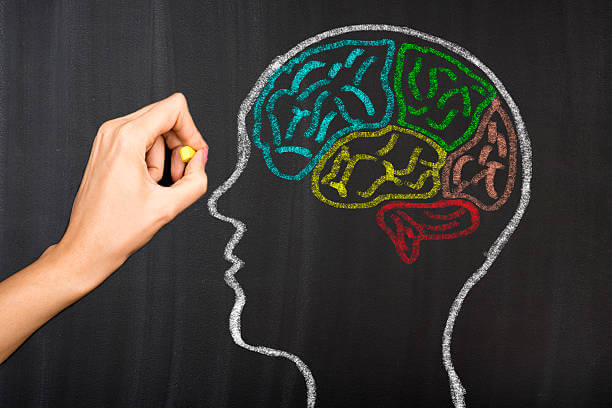 유튜브 시청으로 하루를 보내는 당신, 심리학으로 이유를 찾아보자!!