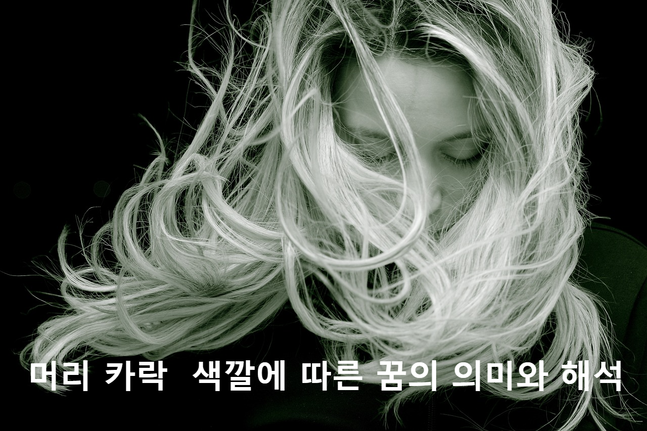 머리카락 꿈해몽