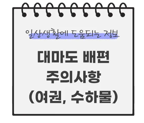 대마도-배편-주의사항