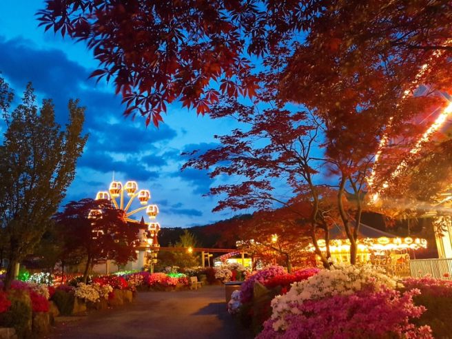 가평 에덴 벚꽃길