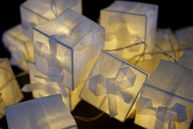 한지 예술의 현대적 해석: 젊은 예술가들의 도전