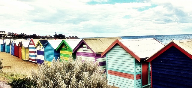 토지(임야)대장